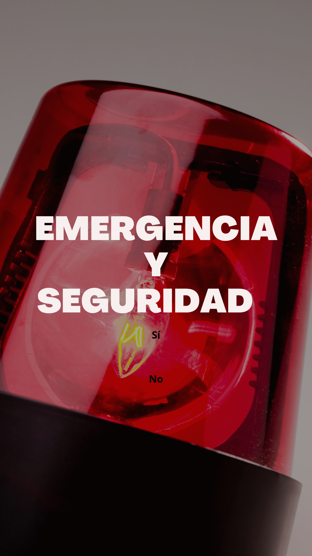 Emergencia y seguridad